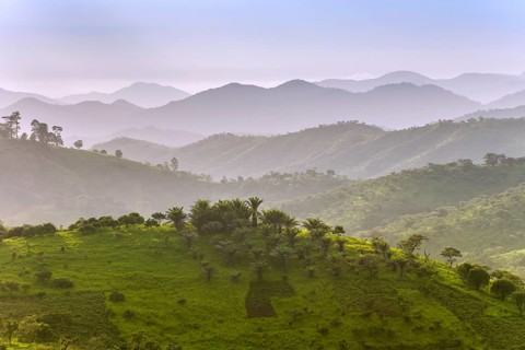 Landscape
