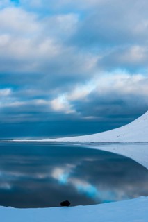 Snow-covered coastal landscape with water reflection