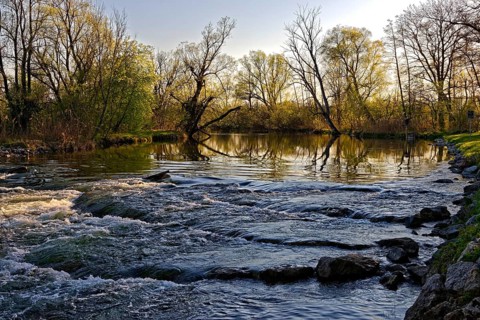 Babbling brook