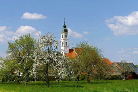 Pilgrimage church Steinhausen