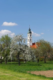 Pilgrimage church Steinhausen