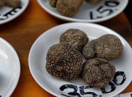 Black truffles in delicatessen shop