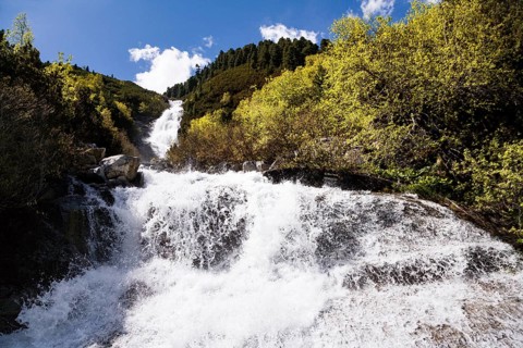 Waterfall Riepenbach