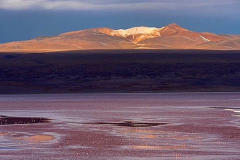 Laguna Colorada with flamingos