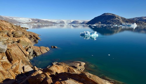 Johan Petersen Fjord with growlwers