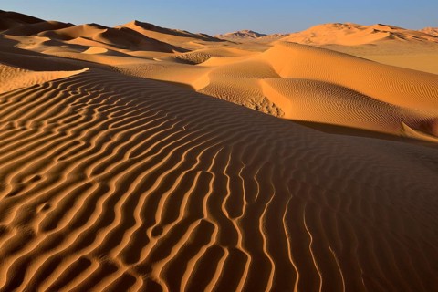 Sanddunes in the Rub al Khali desert