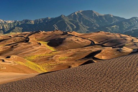 Dune landscape