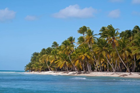 Palm Beach