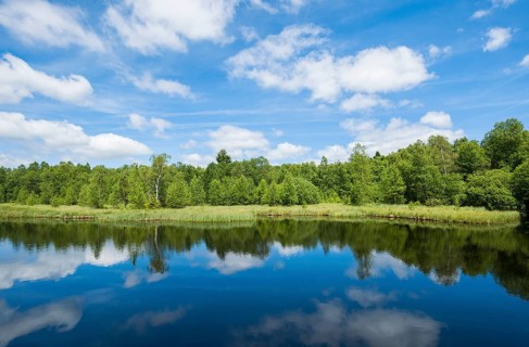 Swamp lake