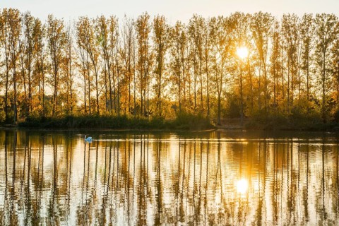 Evening atmosphere in the nature reserve Herbslebener Teiche