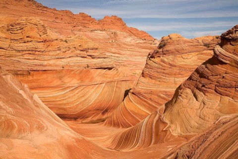 The Wave