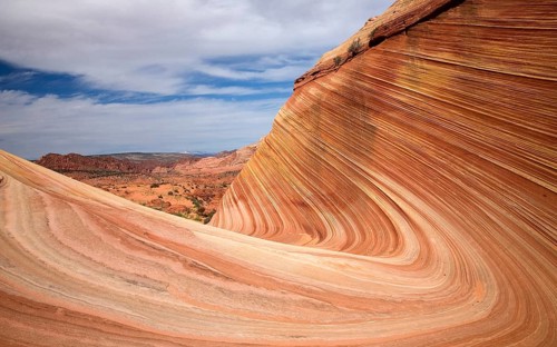 The Wave