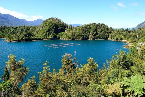 Fish farming in the Reloncavi Fjord