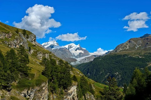 In the hiking area Zermatt