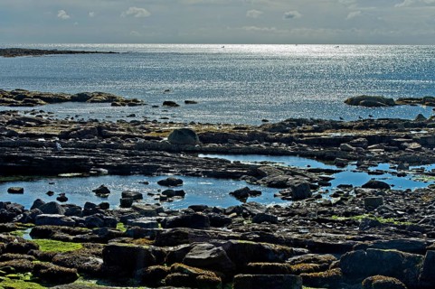 Tide pools in the evening