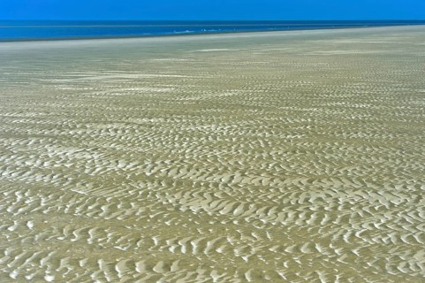 Ripples formed by wind and tidal currents in the sand in the mudflats
