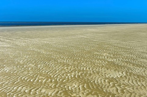 Ripples formed by wind and tidal currents in the sand in the mudflats