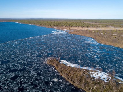 Drone shot