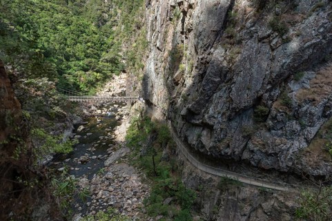 Old way to the galleries of the gold diggers on the Coromandel Peninsula