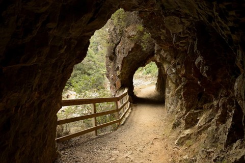 Old way with tunnel to the tunnels of the gold diggers on the Coromandel Peninsula