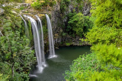 Waterfall Whangarei Falls