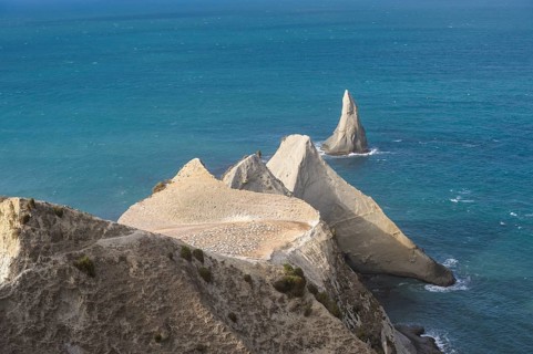 Australasian gannet (Morus serrator) on a promontory at Cape Kidnappers