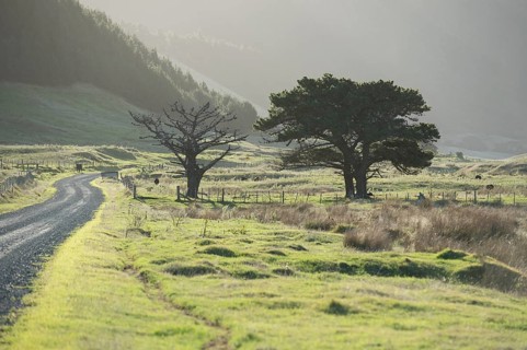 East Cape Gravel Road