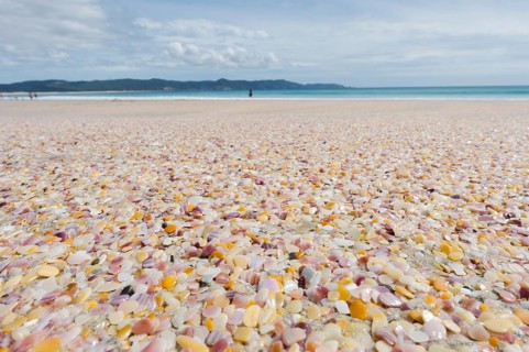 Colorful polished fragments of shell shells on the beach Rarawa Beach