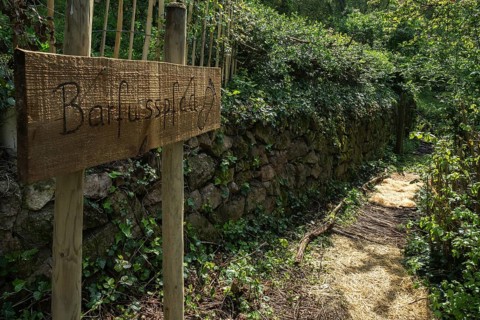 Barefoot path in the vineyards at Schriesheim