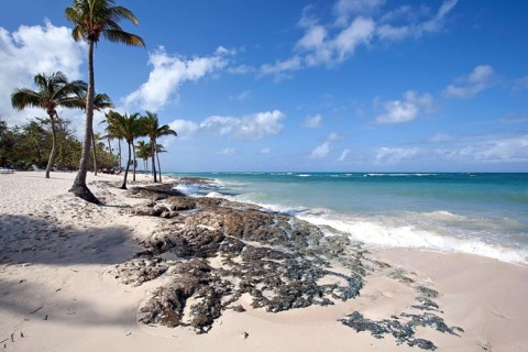 Cristal blue sea and palm trees on the beach Playa Guardalavaca
