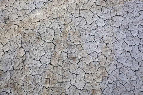 Dried clay surface