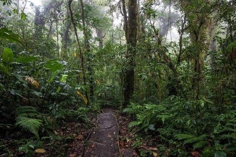 Encantado Trail