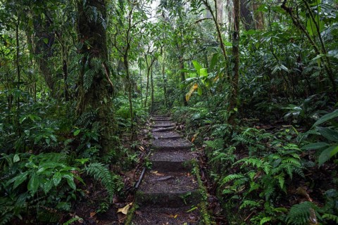 Encantado Trail