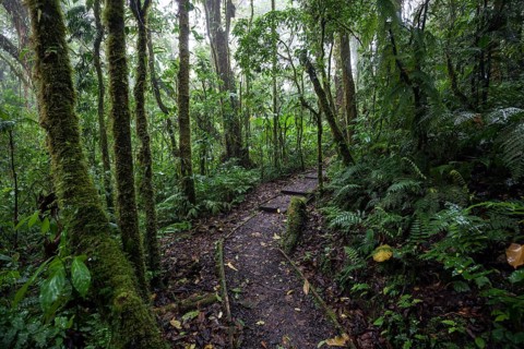 Encantado Trail
