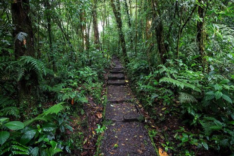 Encantado Trail