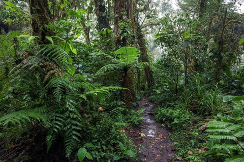 Encantado Trail
