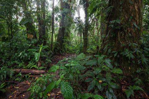 Encantado Trail