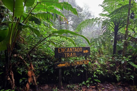 Encantado Trail