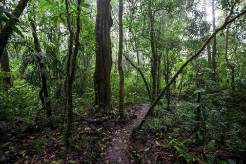 Encantado Trail