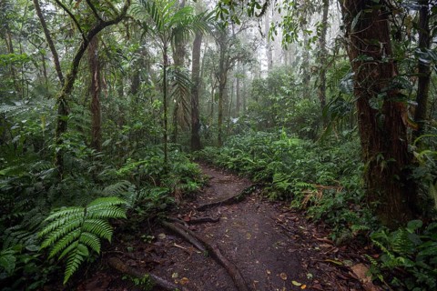 Encantado Trail