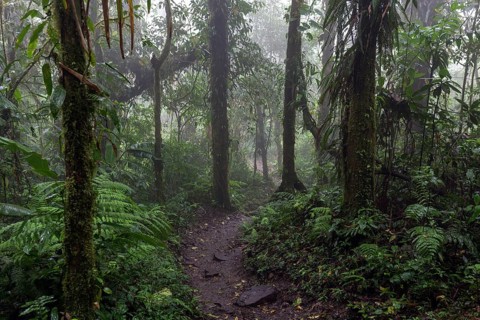 Encantado Trail