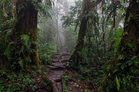 Encantado Trail