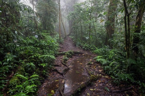 Encantado Trail
