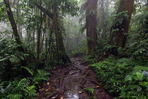 Encantado Trail