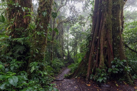 Encantado Trail