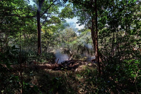 Steaming Fumaroles in the Rainforest of the National Park Rincon de la Vieja