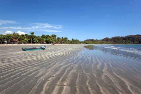 Palm trees and sandy beach at low tide in Samara