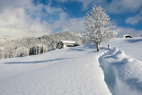 Winter landscape