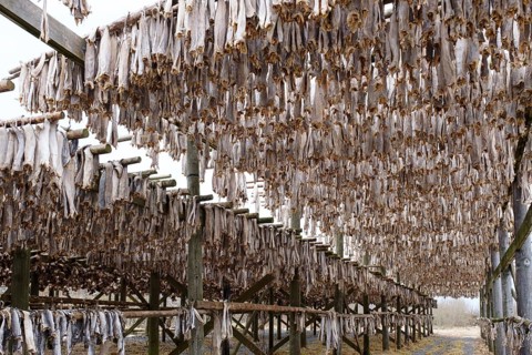 Cod