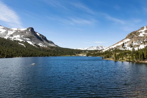 Mountain Lake Tioga Lake